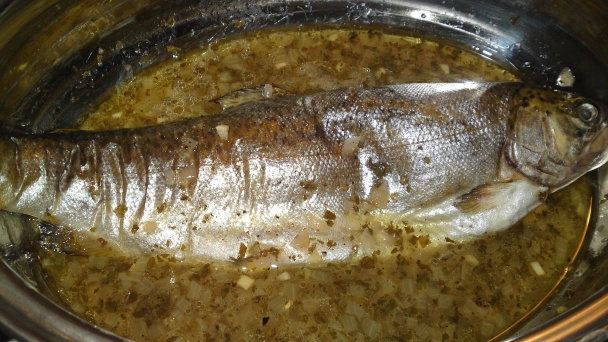 Pstruh z Gave (fotorecept) - obrázok 8