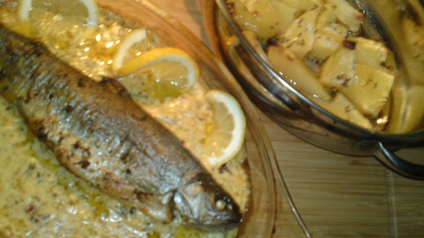 Pstruh z Gave (fotorecept) - obrázok 13