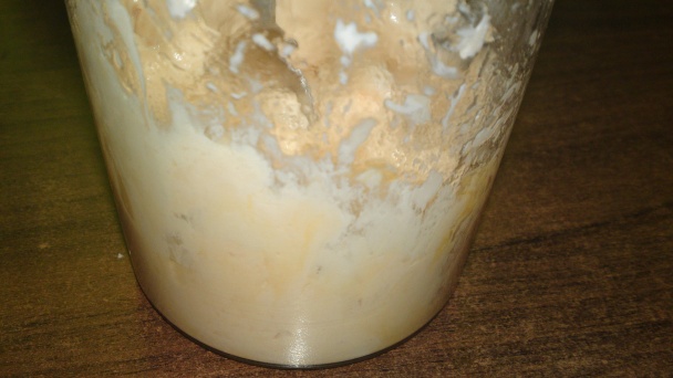 Domáca majonéza základná (fotorecept) - obrázok 6