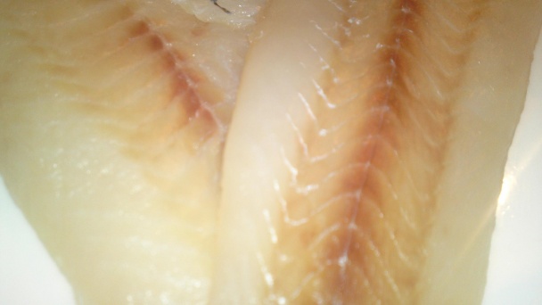 Pikantné rybacie fašírky (fotorecept) - obrázok 1