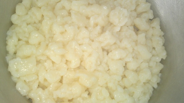 Obyčajné halušky s údenou slaninkou (fotorecept) - obrázok 9