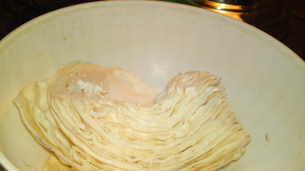 Kapustový šalát s mandarínkami a červenou cibuľou (fotorecept) - obrázok 2