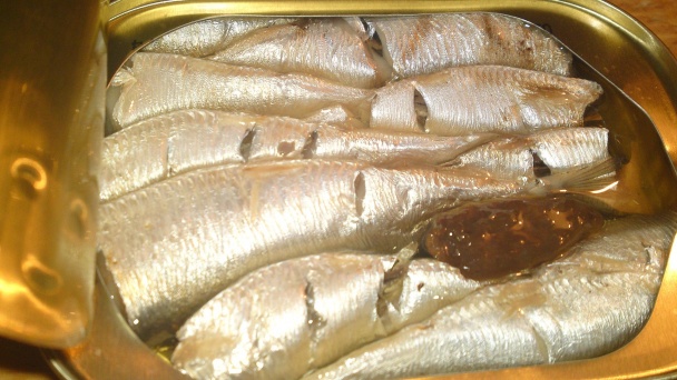 Sardinková nátierka s jarnou cibuľkou (fotorecept) - obrázok 3