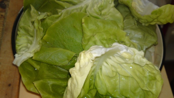 Pestrý zelený šalát so syrom a červenou cibuľou (fotorecept) - obrázok 1