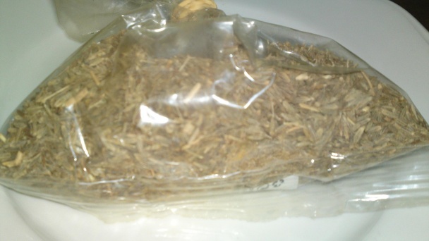 Kuriatko z Jaffa (fotorecept) - obrázok 4