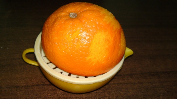 Kuriatko z Jaffa (fotorecept) - obrázok 5