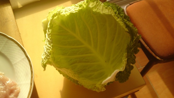 Vegetariánske kelové závitky (fotorecept) - obrázok 2