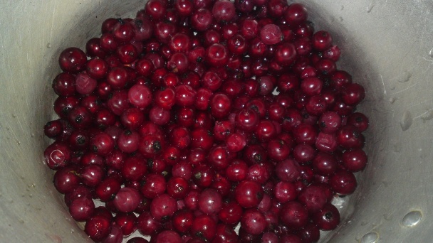 Ríbezľová pena (fotorecept) - obrázok 2