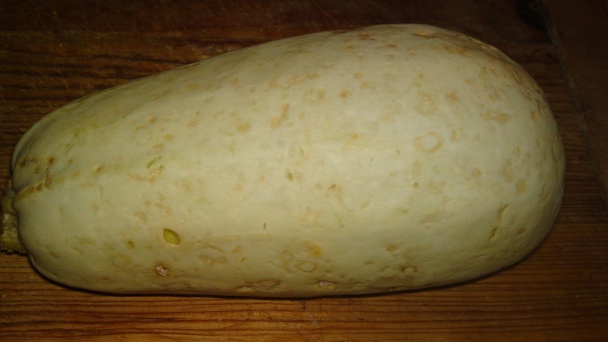 Plnená pečená mladá tekvica (fotorecept) - obrázok 1