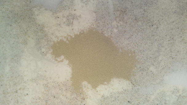 Ražný chlieb z celozrnnej múky (fotorecept) - obrázok 2