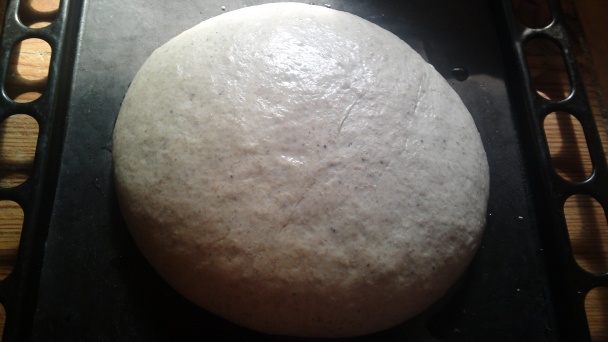 Ražný chlieb z celozrnnej múky (fotorecept) - obrázok 7