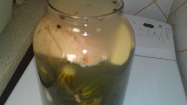 Moje prvé kvašáky od Eriky (fotorecept) - obrázok 4