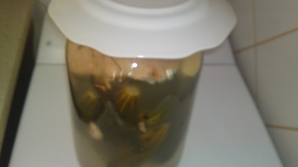 Moje prvé kvašáky od Eriky (fotorecept) - obrázok 5