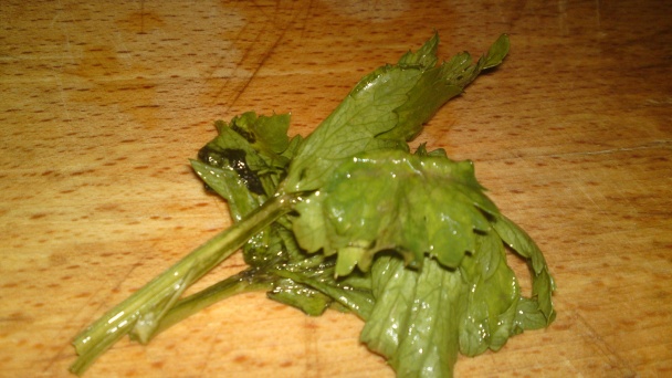 Kuracie stehná v cesnakovo-paradajkovej marináde špikované anglickou slaninou (fotorecept) - obrázok 10