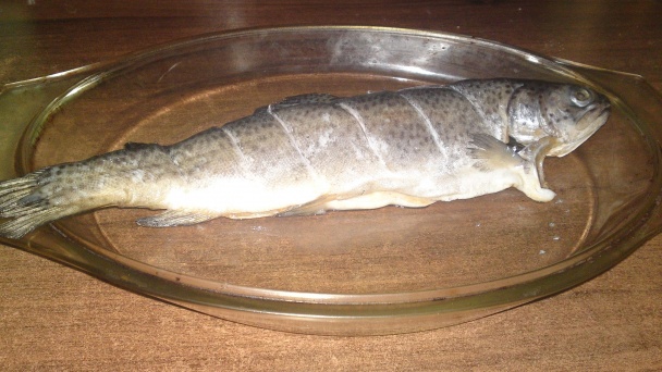Chrumkavý pstruh na čiernom korení (fotorecept) - obrázok 2