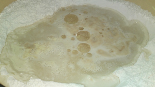 Predcesto na pečenie chleba /fotorecept/ - obrázok 3