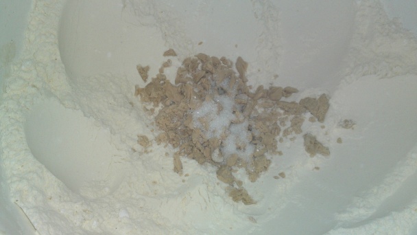 Orechové osie hniezda bez vajíčok (fotorecept) - obrázok 2