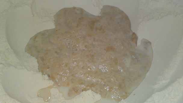 Orechové osie hniezda bez vajíčok (fotorecept) - obrázok 3