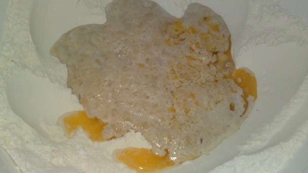 Orechové osie hniezda bez vajíčok (fotorecept) - obrázok 4