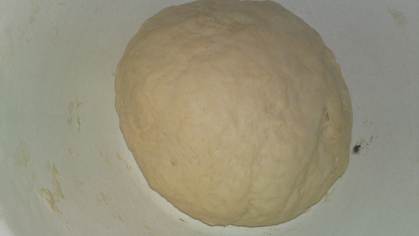 Orechové osie hniezda bez vajíčok (fotorecept) - obrázok 5