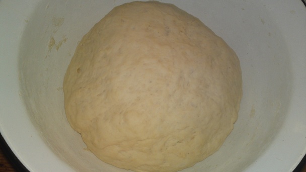 Orechové osie hniezda bez vajíčok (fotorecept) - obrázok 8