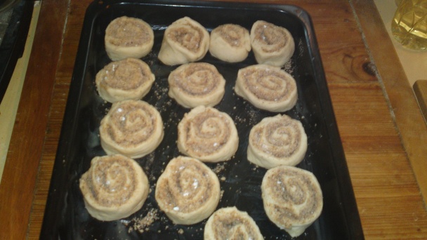 Orechové osie hniezda bez vajíčok (fotorecept) - obrázok 13