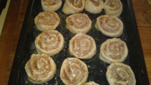 Orechové osie hniezda bez vajíčok (fotorecept) - obrázok 14