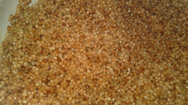 Kuracie prsia pečené na zázvore a jablkách s tarhoňou (fotorecept) - obrázok 13