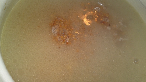 Kuracie prsia pečené na zázvore a jablkách s tarhoňou (fotorecept) - obrázok 14