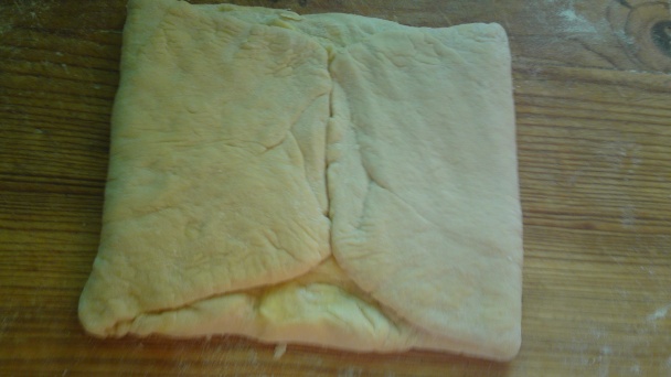 Škoricové osie hniezda, ktoré kysnú slimačím tempom (fotorecept) - obrázok 14