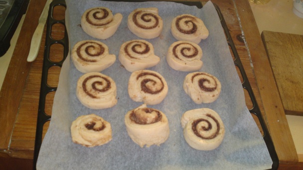 Škoricové osie hniezda, ktoré kysnú slimačím tempom (fotorecept) - obrázok 19