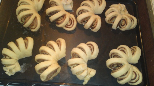 Kakaové vejáre (fotorecept) - obrázok 13