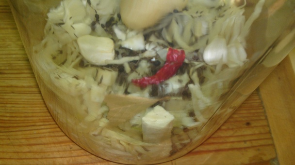 Rýchlokvasená domáca kapusta vo fľaši (fotorecept) - obrázok 12