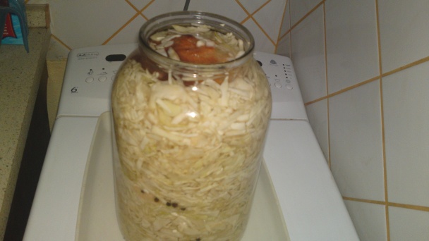 Rýchlokvasená domáca kapusta vo fľaši (fotorecept) - obrázok 13