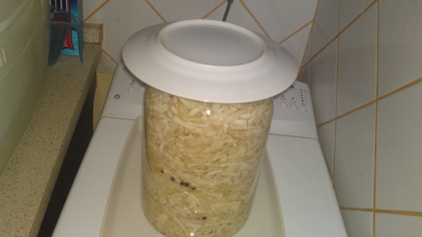 Rýchlokvasená domáca kapusta vo fľaši (fotorecept) - obrázok 14