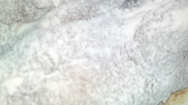 Vyprážaná  bravčová pečeň (fotorecept) - obrázok 3