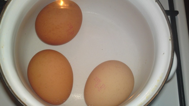 Jarné kuriatka na lúke (fotorecept) - obrázok 1