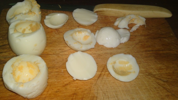 Jarné kuriatka na lúke (fotorecept) - obrázok 3