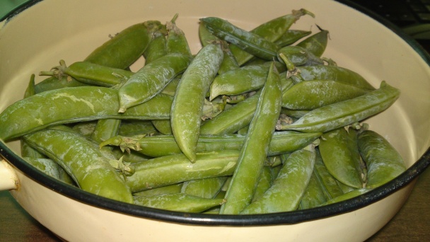 Jarná krémová polievka z cukrového hrášku s čerstvou mätou (fotorecept) - obrázok 1