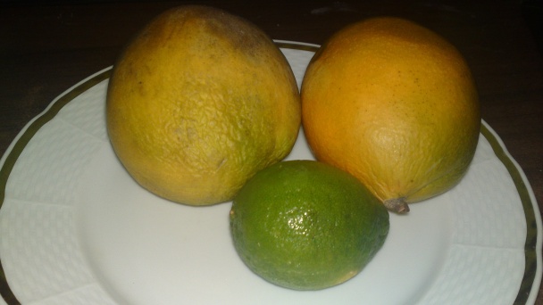 Mangový sorbet (fotorecept) - obrázok 5