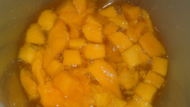 Mangový sorbet (fotorecept) - obrázok 10