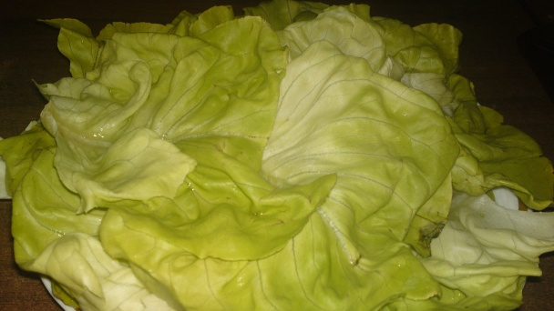 Ľahký jemný letný šalát (fotorecept) - obrázok 7