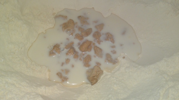 Nadýchaný kakaový kysnutý závin (fotorecept) - obrázok 3