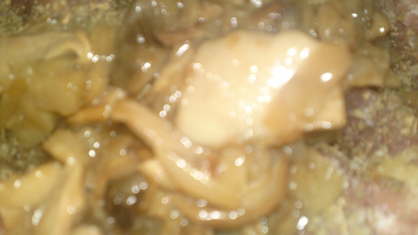 Fašírky s dubákmi a so syrom Ementál (fotorecept) - obrázok 8