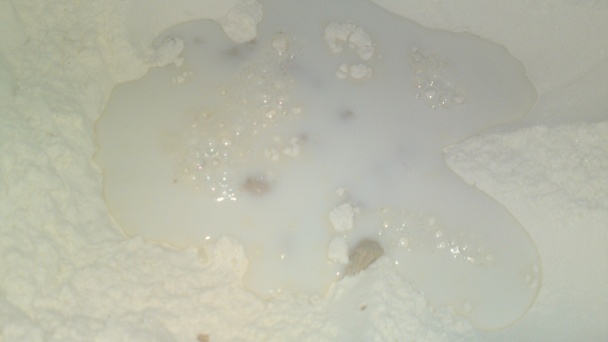 Domáce maslové žemle s mliekom (fotorecept) - obrázok 3