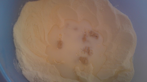 Domáca kysnutá žemľová knedľa (fotorecept) - obrázok 7