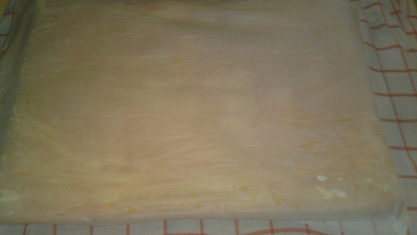 Nadýchaná piškótová roláda (fotorecept) - obrázok 13