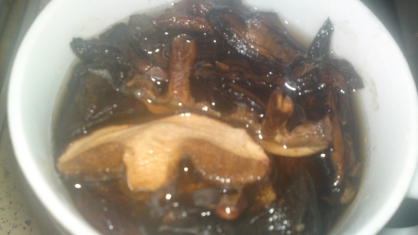 Hovädzie kocky na dubákoch (fotorecept) - obrázok 3