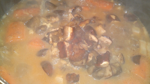 Diviačie ragú (fotorecept) - obrázok 17