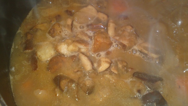 Diviačie ragú (fotorecept) - obrázok 19